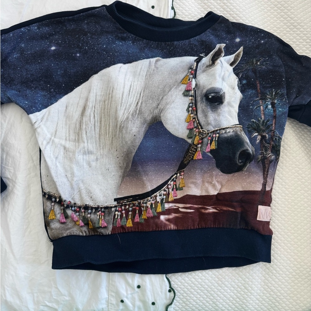 Molo Blue and White Horse Print Sweatshirt